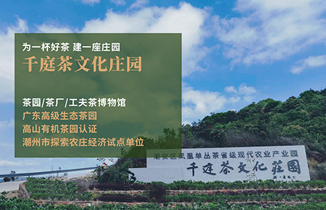 千庭茶文化庄园